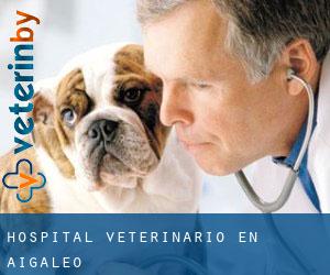 Hospital veterinario en Aigáleo