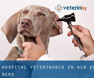 Hospital veterinario en 'Aïn el Berd