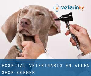 Hospital veterinario en Allen Shop Corner