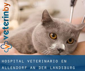 Hospital veterinario en Allendorf an der Landsburg (Hesse)
