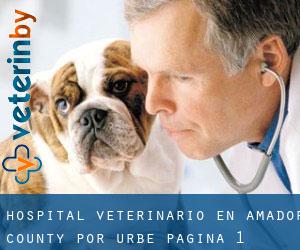 Hospital veterinario en Amador County por urbe - página 1