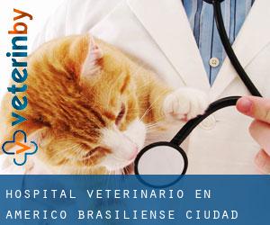 Hospital veterinario en Américo Brasiliense (Ciudad)