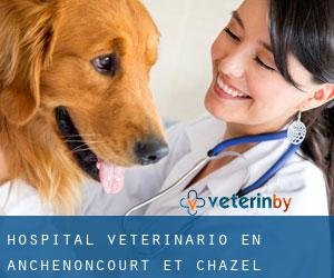Hospital veterinario en Anchenoncourt-et-Chazel