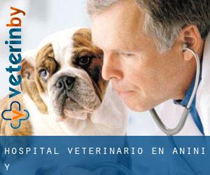 Hospital veterinario en Anini-y