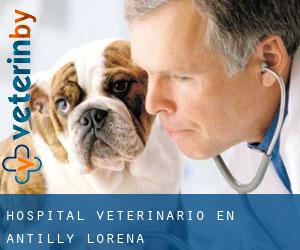 Hospital veterinario en Antilly (Lorena)