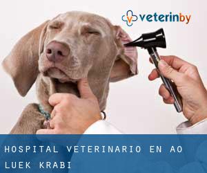 Hospital veterinario en Ao Luek (Krabi)