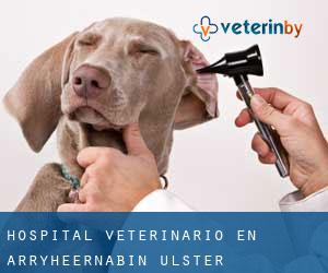 Hospital veterinario en Arryheernabin (Úlster)