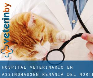 Hospital veterinario en Assinghausen (Renania del Norte-Westfalia)