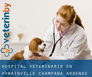 Hospital veterinario en Avrainville (Champaña-Ardenas)