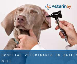 Hospital veterinario en Bailes Mill