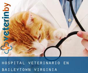 Hospital veterinario en Baileytown (Virginia)