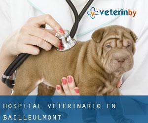 Hospital veterinario en Bailleulmont