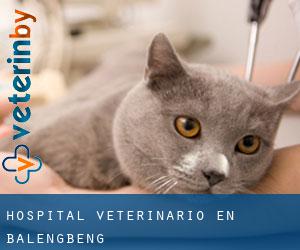 Hospital veterinario en Balengbeng