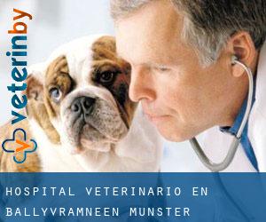Hospital veterinario en Ballyvramneen (Munster)