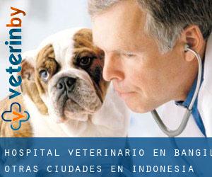 Hospital veterinario en Bangil (Otras Ciudades en Indonesia)