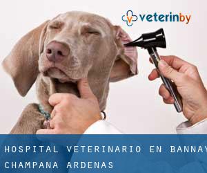 Hospital veterinario en Bannay (Champaña-Ardenas)