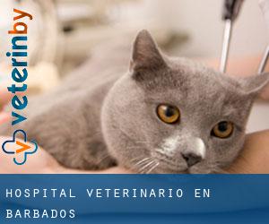 Hospital veterinario en Barbados
