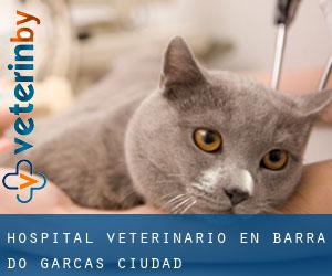 Hospital veterinario en Barra do Garças (Ciudad)