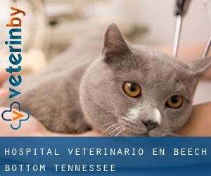 Hospital veterinario en Beech Bottom (Tennessee)