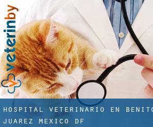 Hospital veterinario en Benito Juarez (Mexico D.F.)