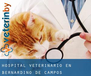 Hospital veterinario en Bernardino de Campos