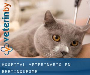 Hospital veterinario en Bertinquesme