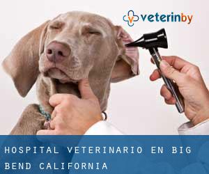 Hospital veterinario en Big Bend (California)