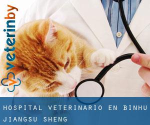 Hospital veterinario en Binhu (Jiangsu Sheng)