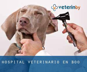 Hospital veterinario en Boo