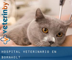 Hospital veterinario en Bornholt