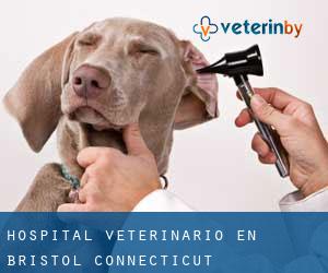 Hospital veterinario en Bristol (Connecticut)
