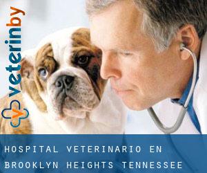 Hospital veterinario en Brooklyn Heights (Tennessee)