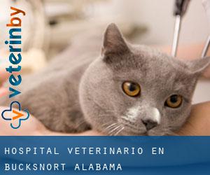 Hospital veterinario en Bucksnort (Alabama)