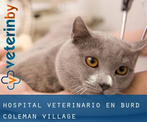 Hospital veterinario en Burd Coleman Village