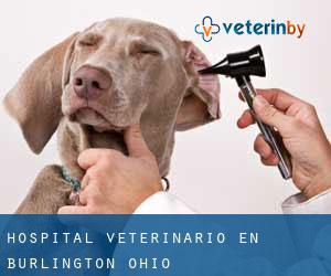 Hospital veterinario en Burlington (Ohio)