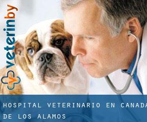 Hospital veterinario en Cañada de los Alamos