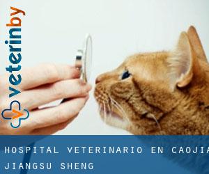 Hospital veterinario en Caojia (Jiangsu Sheng)