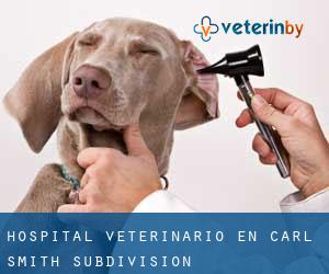 Hospital veterinario en Carl Smith Subdivision
