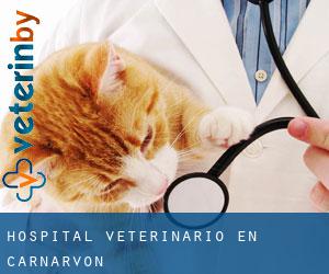 Hospital veterinario en Carnarvon