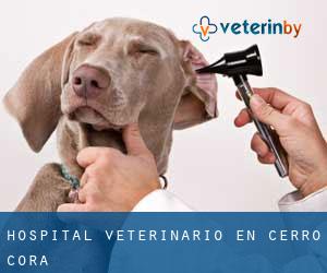 Hospital veterinario en Cerro Corá