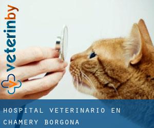 Hospital veterinario en Chamery (Borgoña)