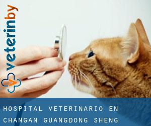 Hospital veterinario en Chang'an (Guangdong Sheng)