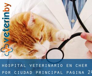 Hospital veterinario en Cher por ciudad principal - página 24