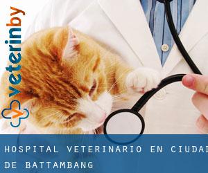 Hospital veterinario en Ciudad de Battambang
