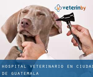 Hospital veterinario en Ciudad de Guatemala