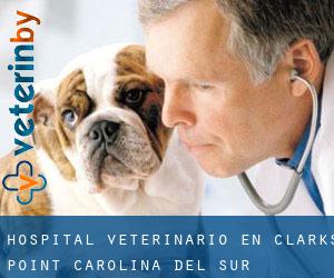 Hospital veterinario en Clarks Point (Carolina del Sur)