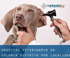 Hospital veterinario en Colonia Distrito por localidad - página 3