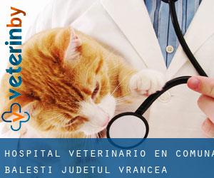 Hospital veterinario en Comuna Băleşti (Judeţul Vrancea)