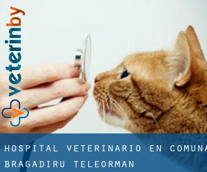 Hospital veterinario en Comuna Bragadiru (Teleorman)