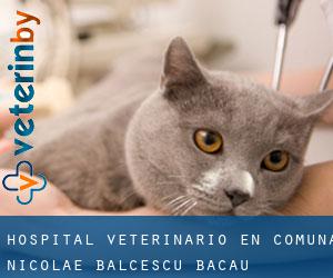 Hospital veterinario en Comuna Nicolae Bălcescu (Bacău)